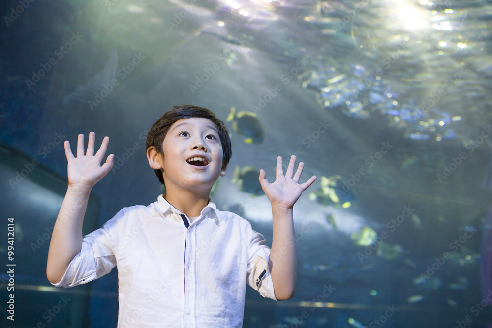 水族馆里的小男孩