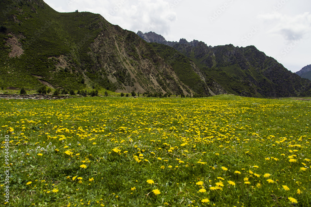 中国甘肃省的山区和草原