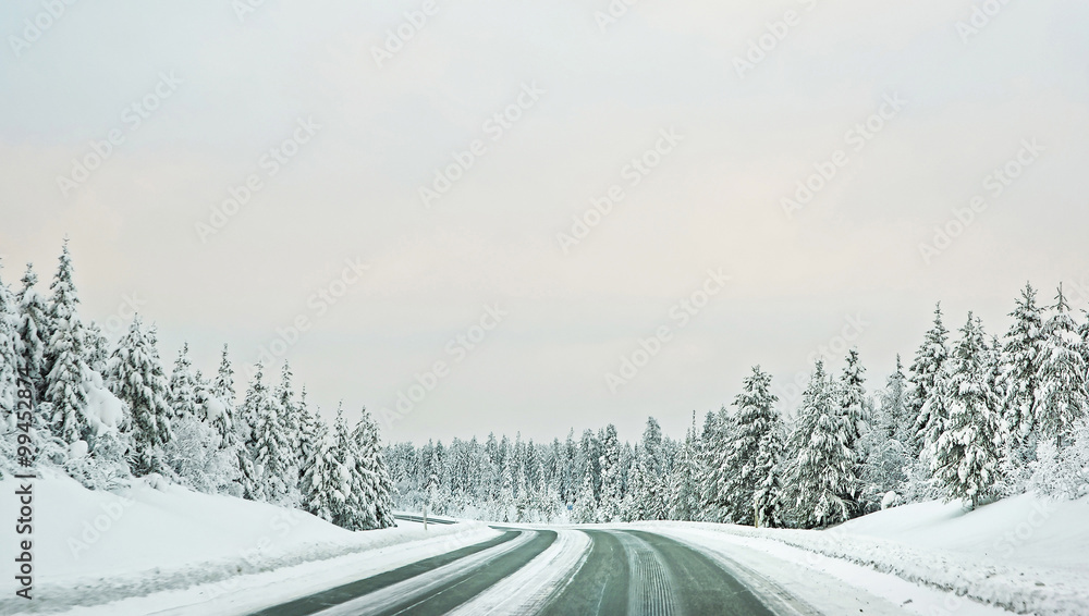 北极圈上通往芬兰的雪路