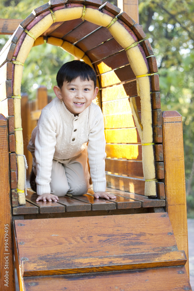 Boy crawling through tunnel in playground