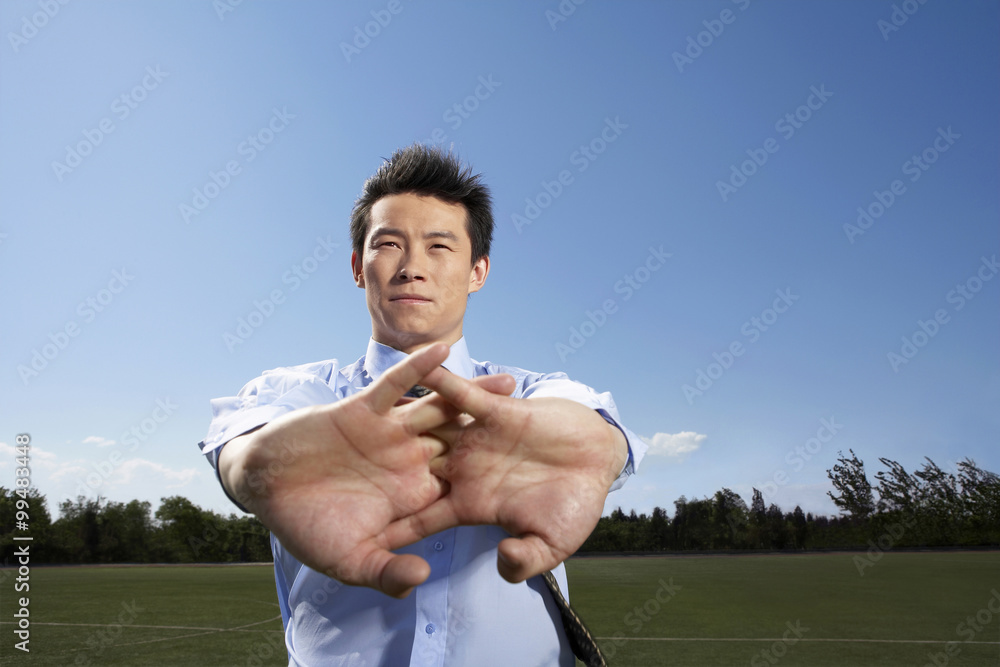 Portrait Of Businessman In A Field