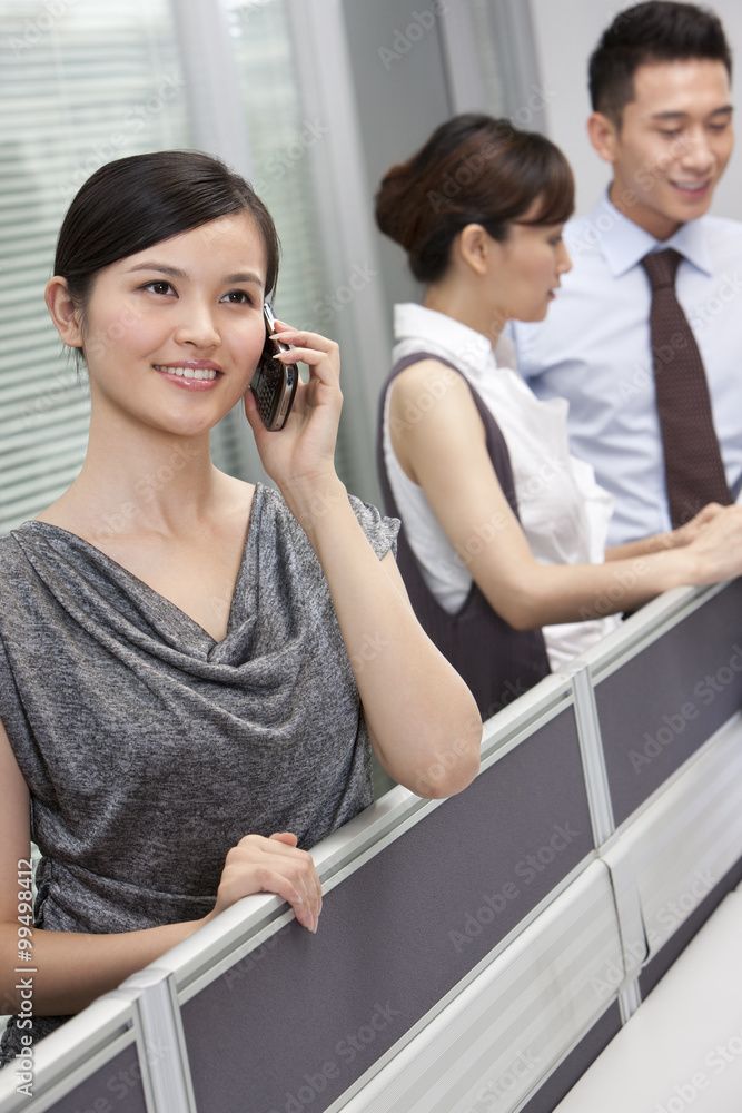 Businesswoman Talking On Mobile Phone