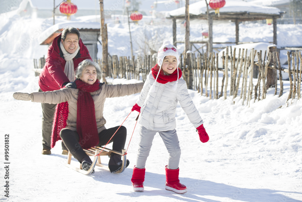 快乐的一家人在雪地里玩雪橇