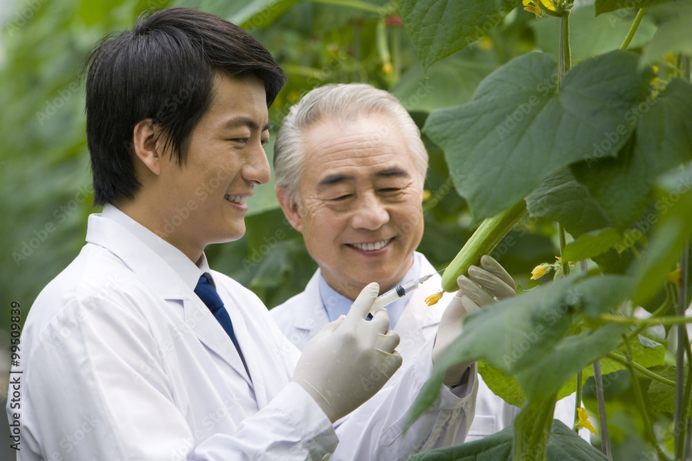 Scientists doing research in modern farm