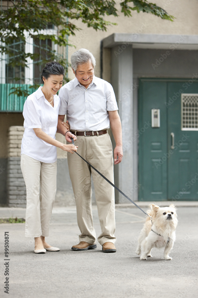 老年夫妇和他们的狗