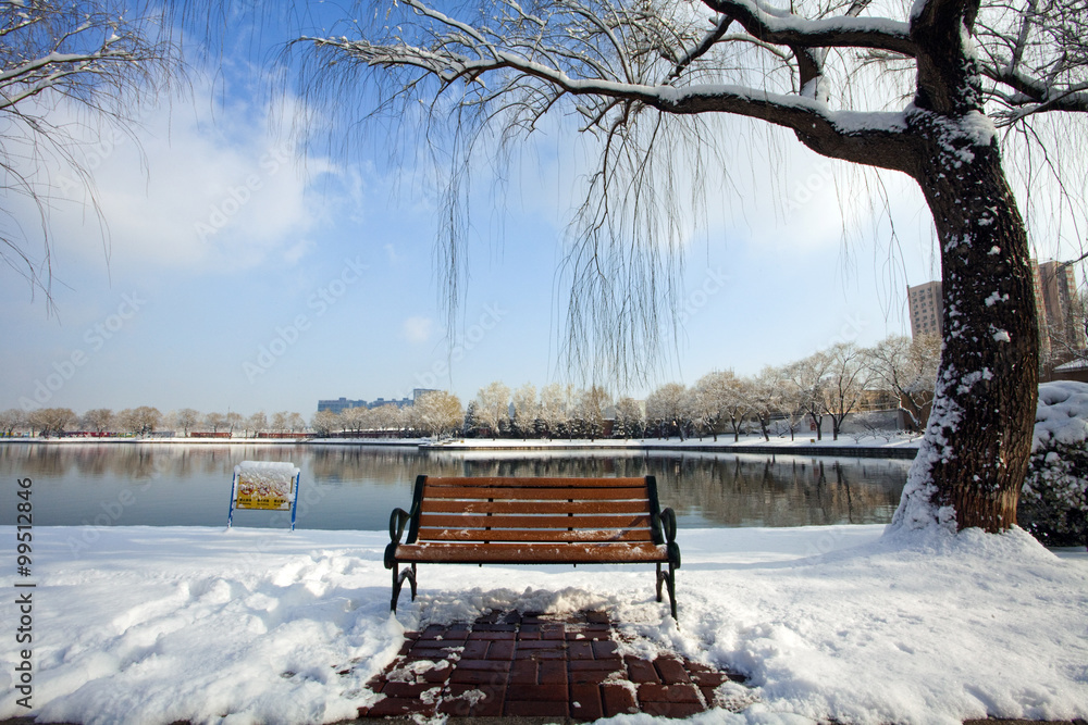 冬雪中的宁静公园