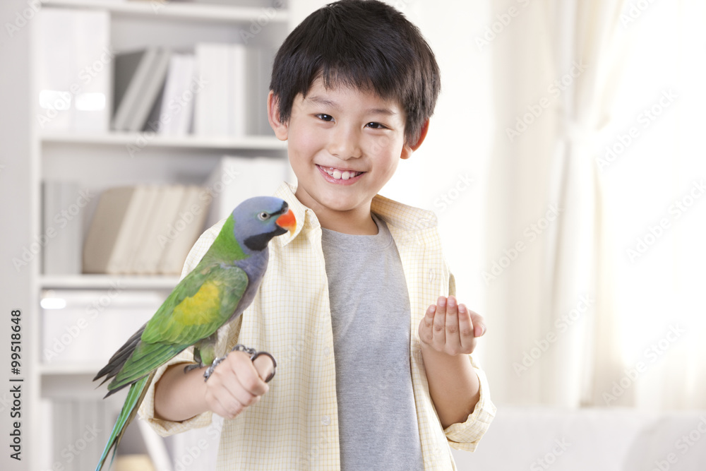 Little boy playing with a pet parrot