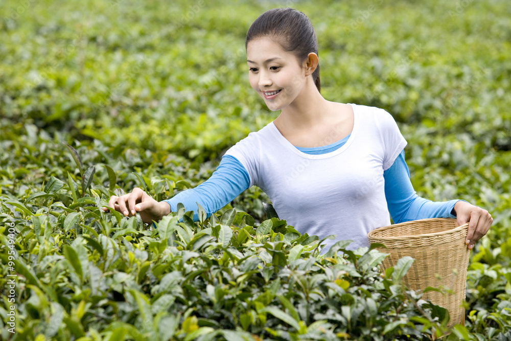 采茶女青年