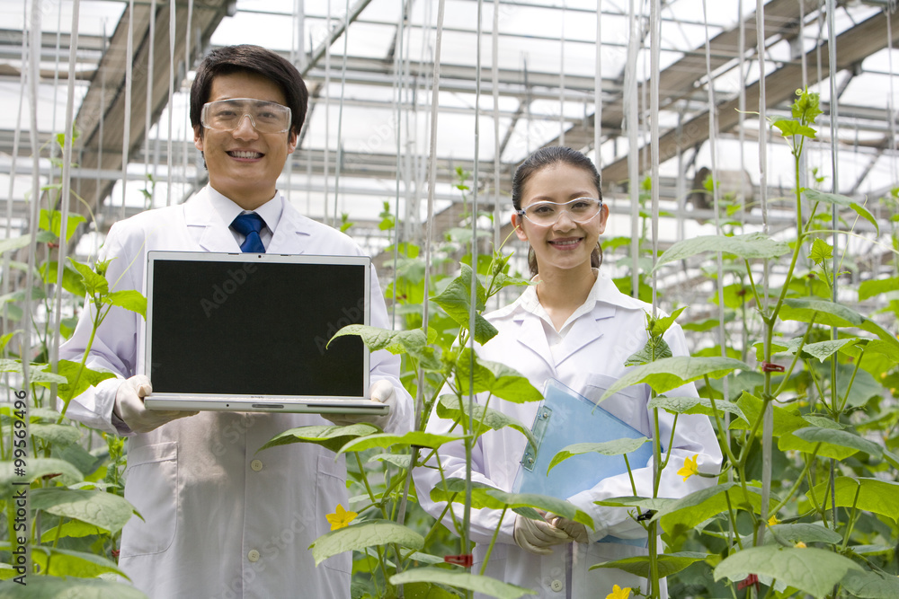 Scientists doing research in modern farm