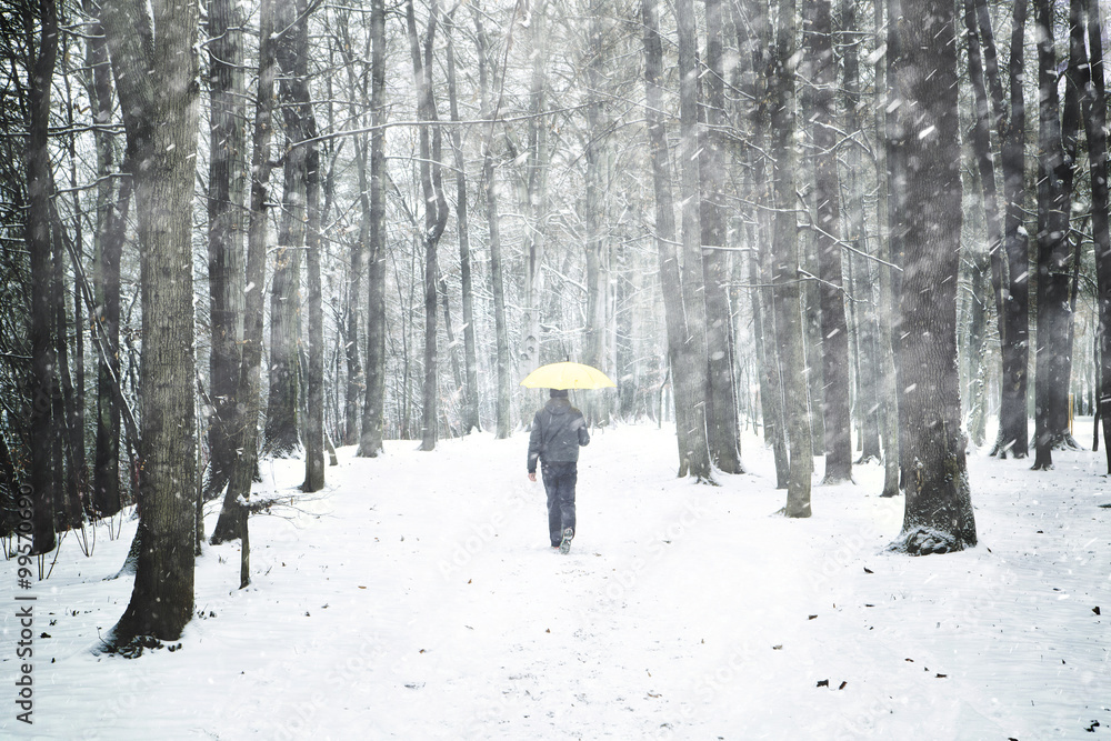 下雪天，带着黄色雨伞的孤独男子在公园里和树一起散步。公园里的雪和我一起