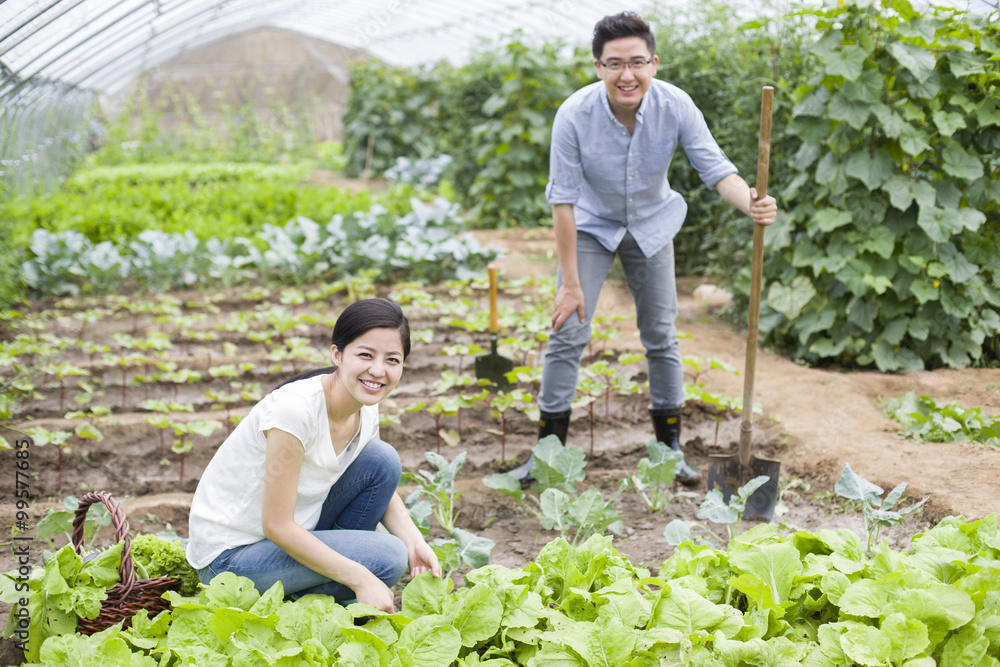 Young couple gardening together