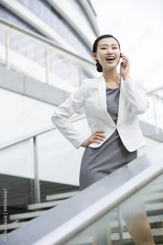 Businesswoman talking on the phone