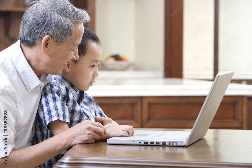 Grandfather and grandson using laptop