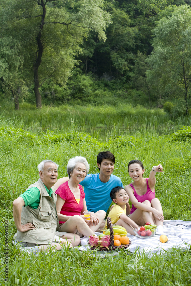 Portrait of a family picnicking