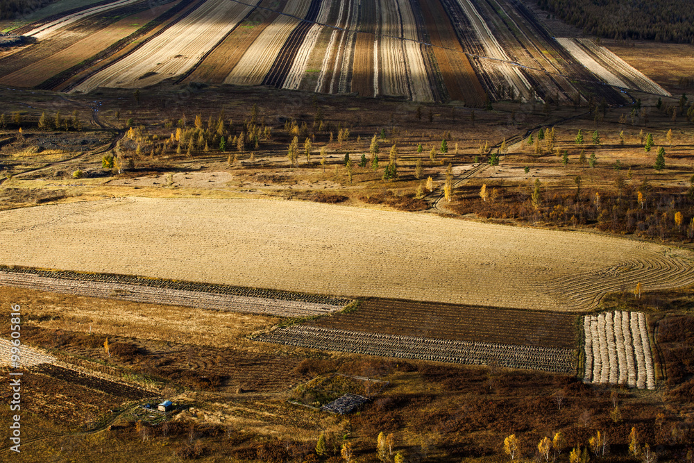 Field in autumn,China