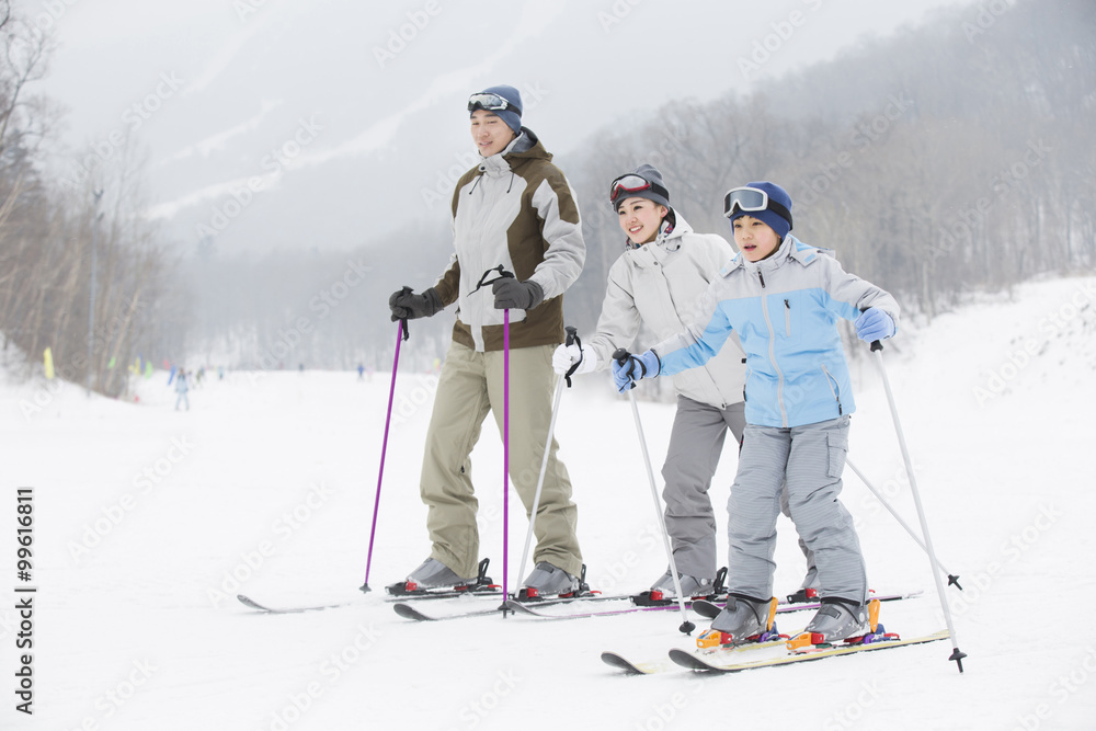 Young family skiing in ski resort