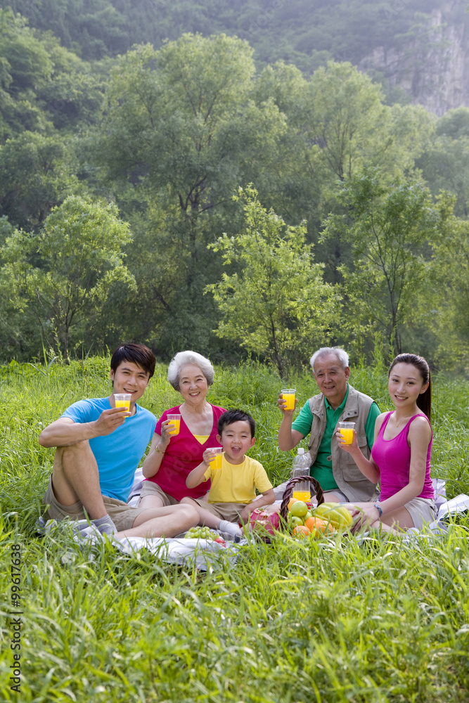 Portrait of a family picnicking