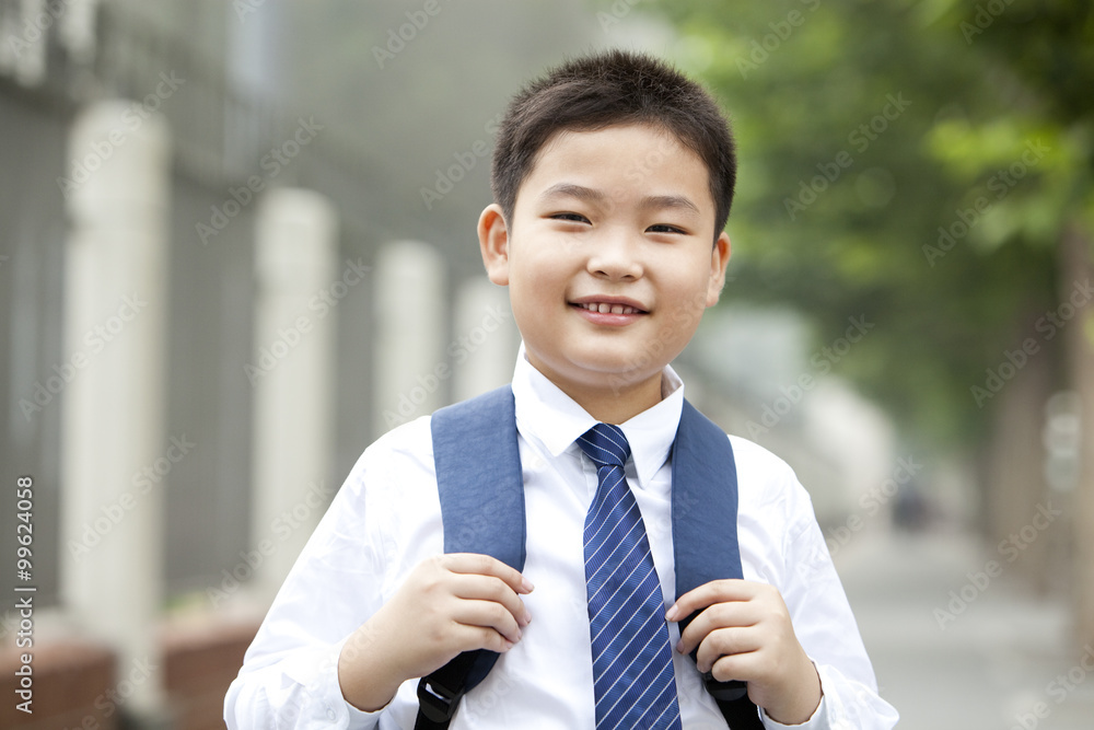 Portrait of cute schoolboy in uniform on the way to school