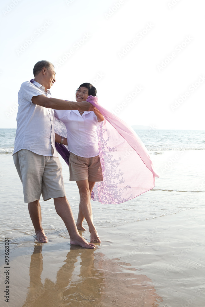 Portrait of a senior couple dancing on the beach