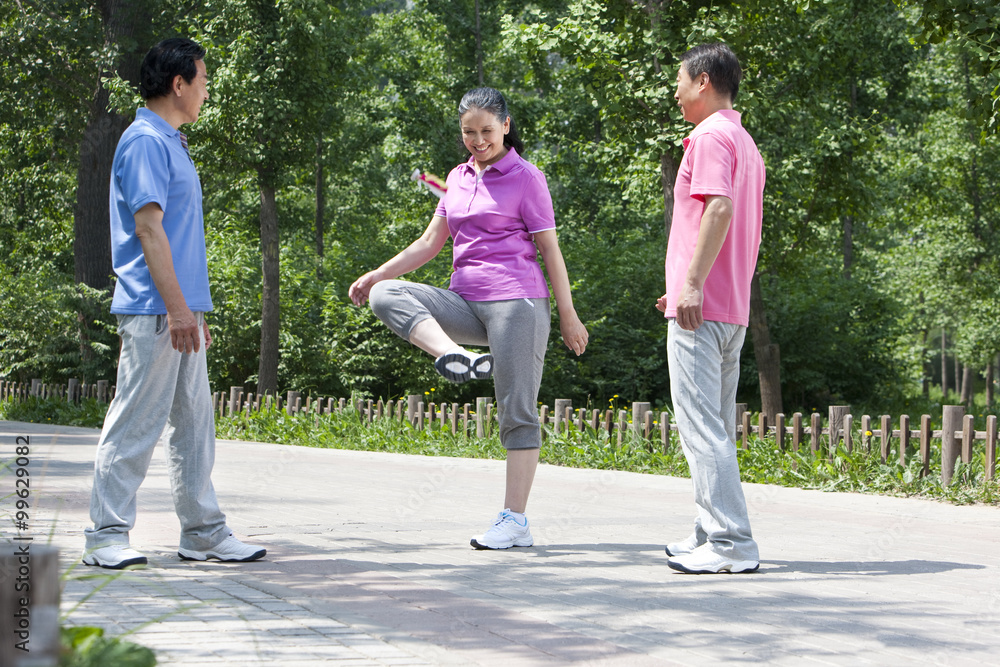 Seniors playing shuttlecock in park