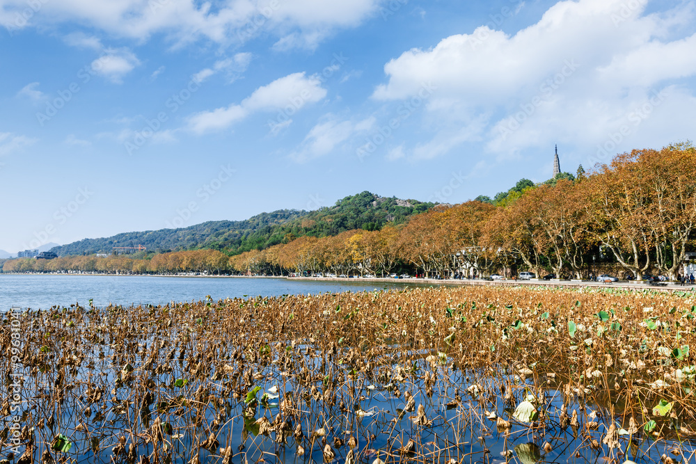 秋天的杭州西湖美景，中国