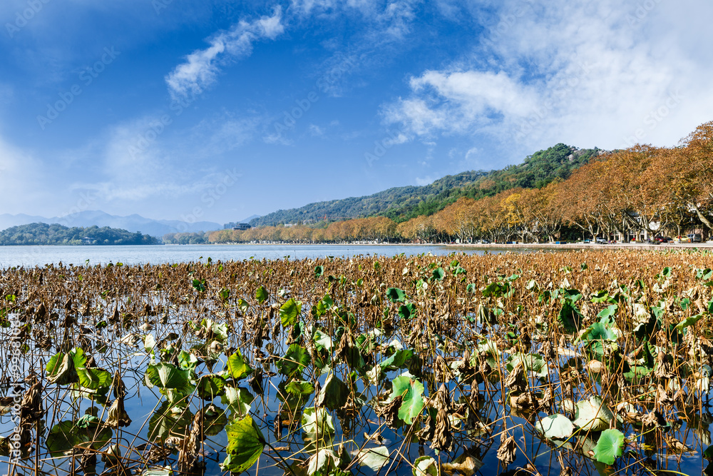 中国杭州西湖秋日美景