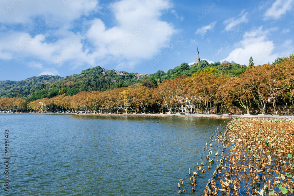 秋天的杭州西湖美景，中国