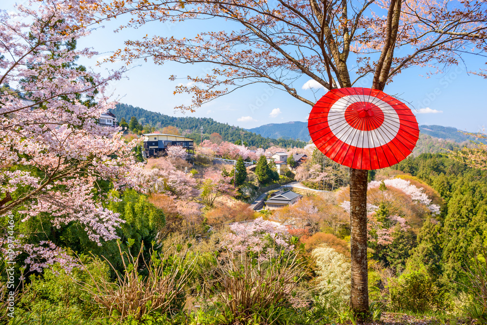 日本奈良吉野山