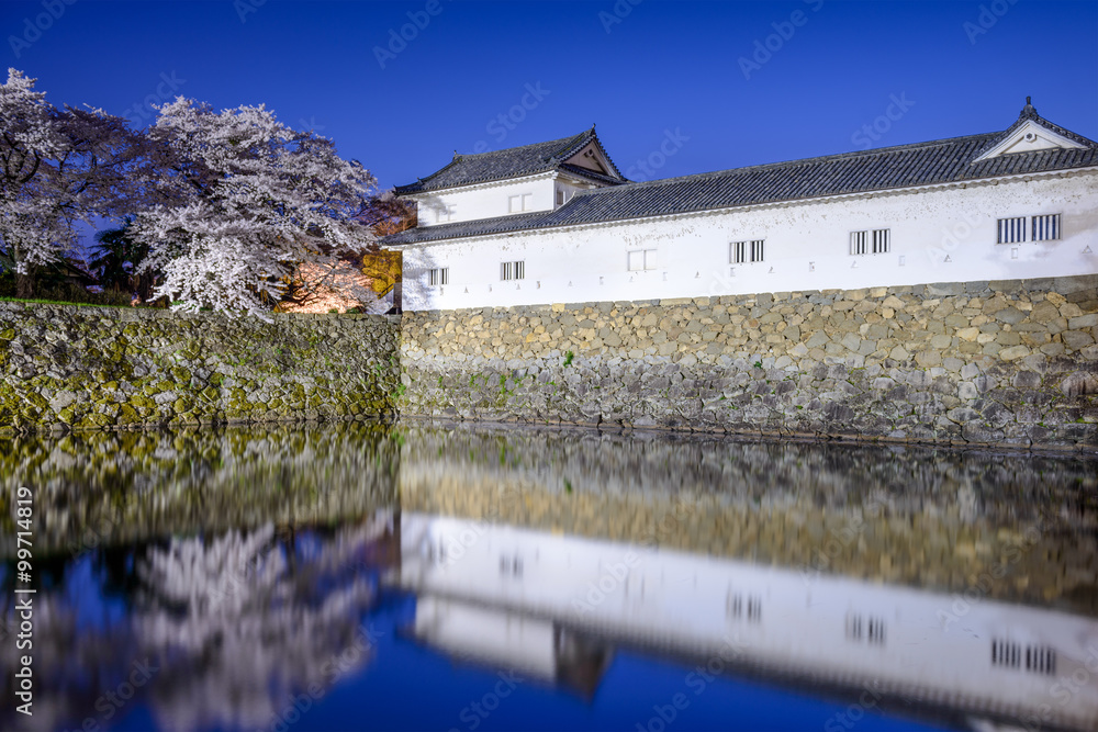 伊科内城堡护城河