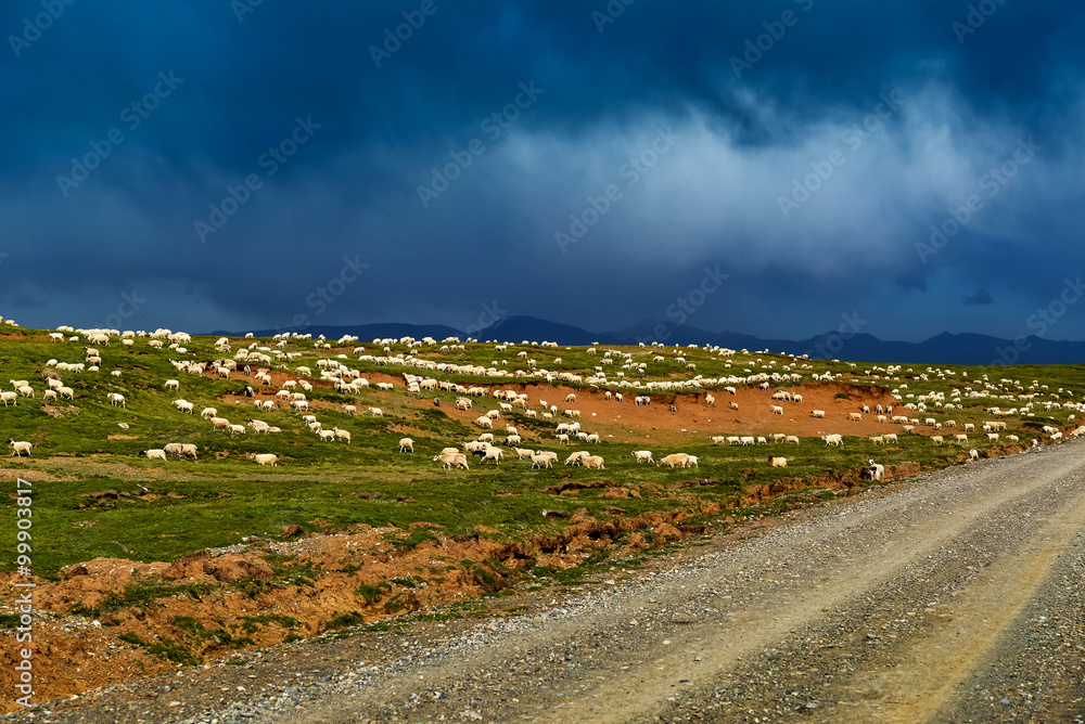 Mustering，中国