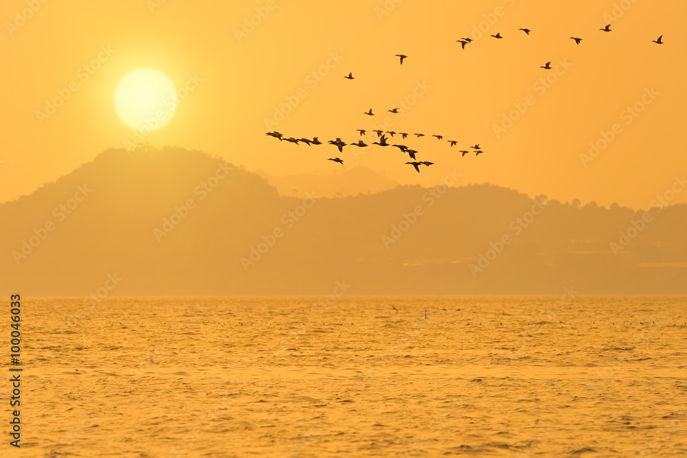 Silhouetted Flock of Ducks Flying in the Sunset Sky