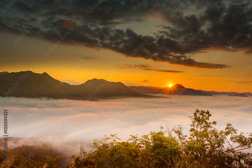 泰国晨雾山