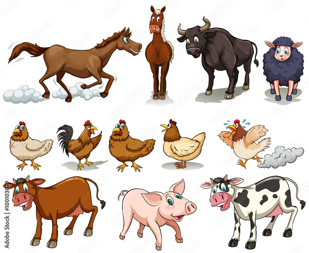 Different kind of farm animals