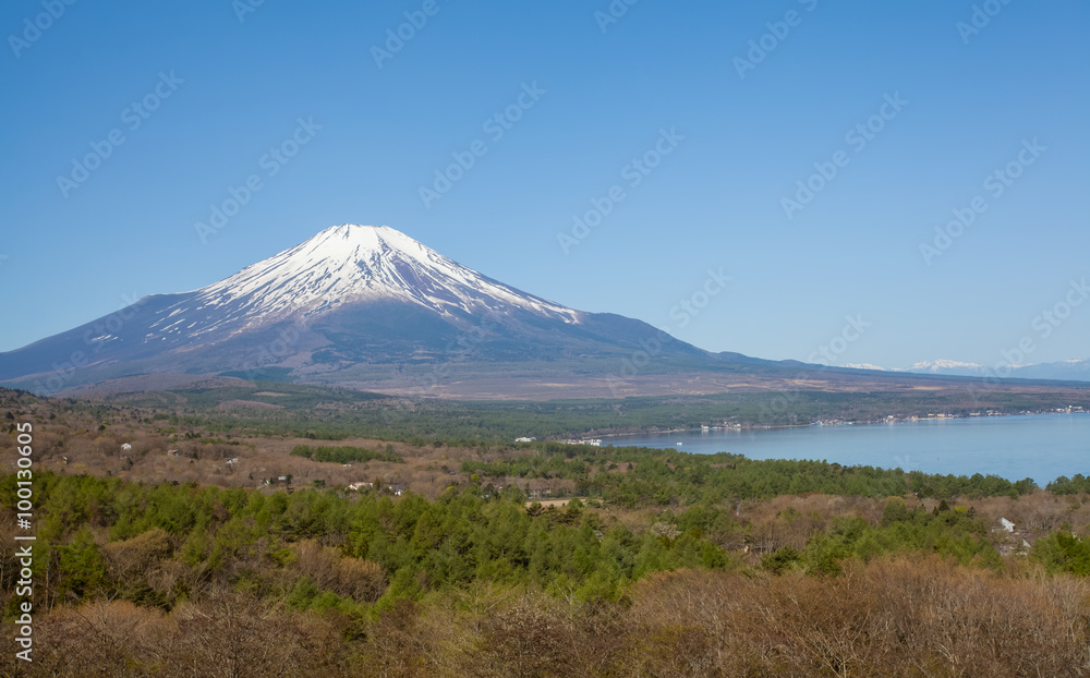 春天的富士山和山那角湖