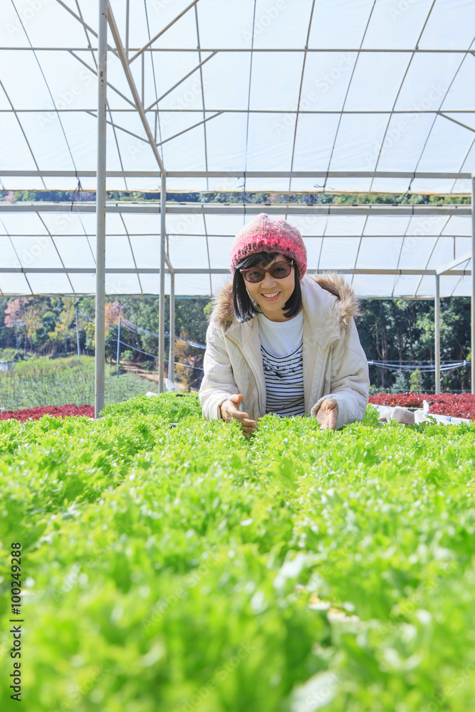 healthy care woman in hydroponic vegetable green house plantatio