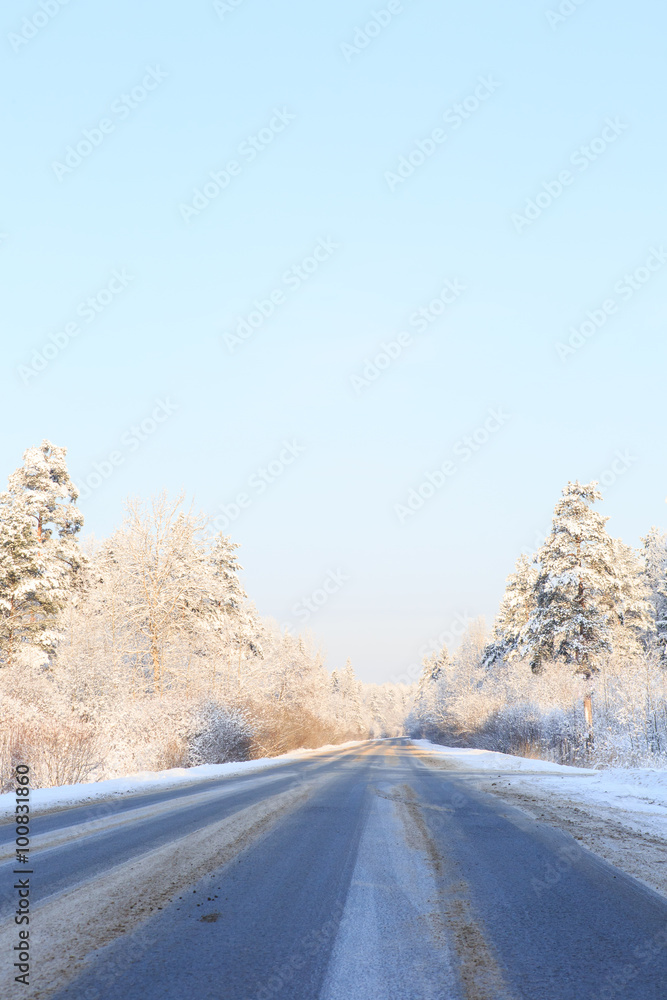 穿越雪地和森林的冬季之路