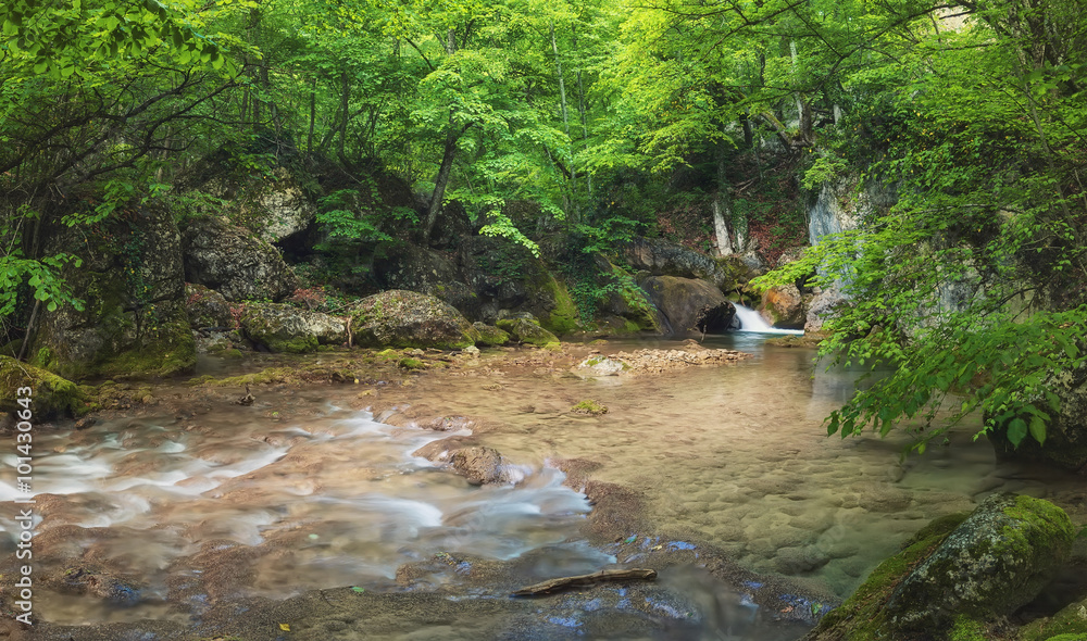 夏季峡谷中的河流。美丽的自然夏季景观