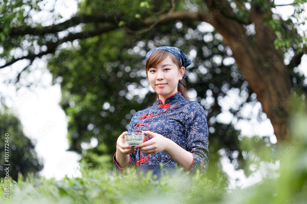 种植园里漂亮的亚洲采茶女孩