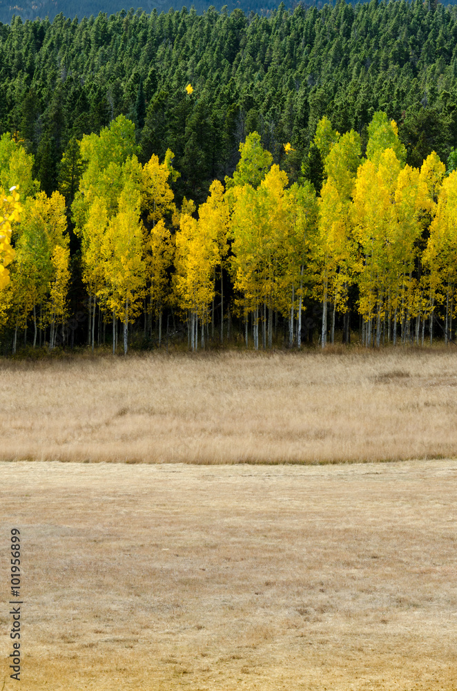 打开字段导致Aspens.dng发生变化