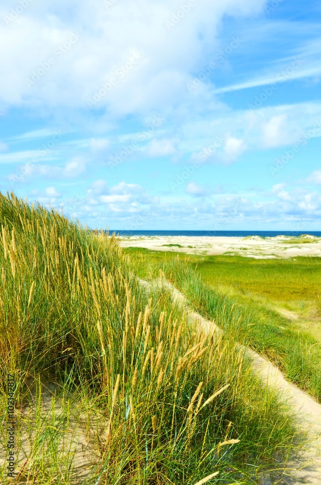 Dünenlandschaft und Meerblick Nordsee