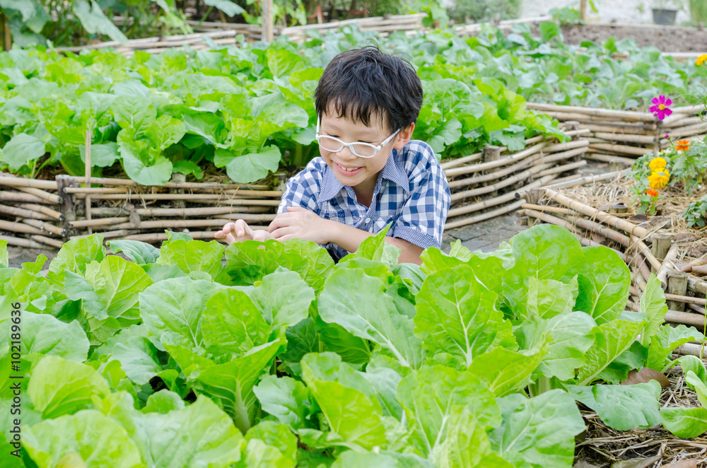 Asian boy working in vegetable farm