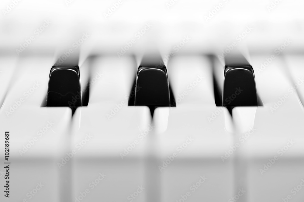 Close-up of piano keys