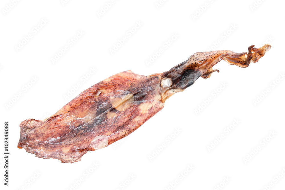 dried squid isolated on white background.