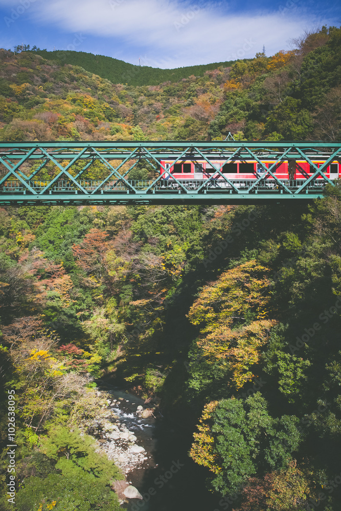 日本箱根市秋季铁路桥和火车的美丽山景