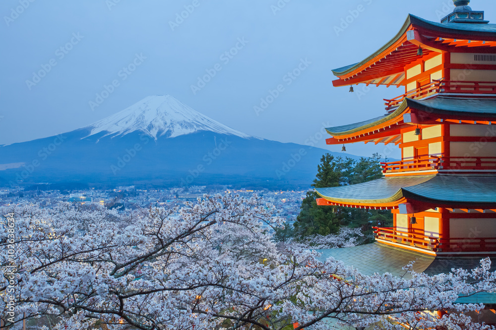 樱花樱花季节的富士山和红塔