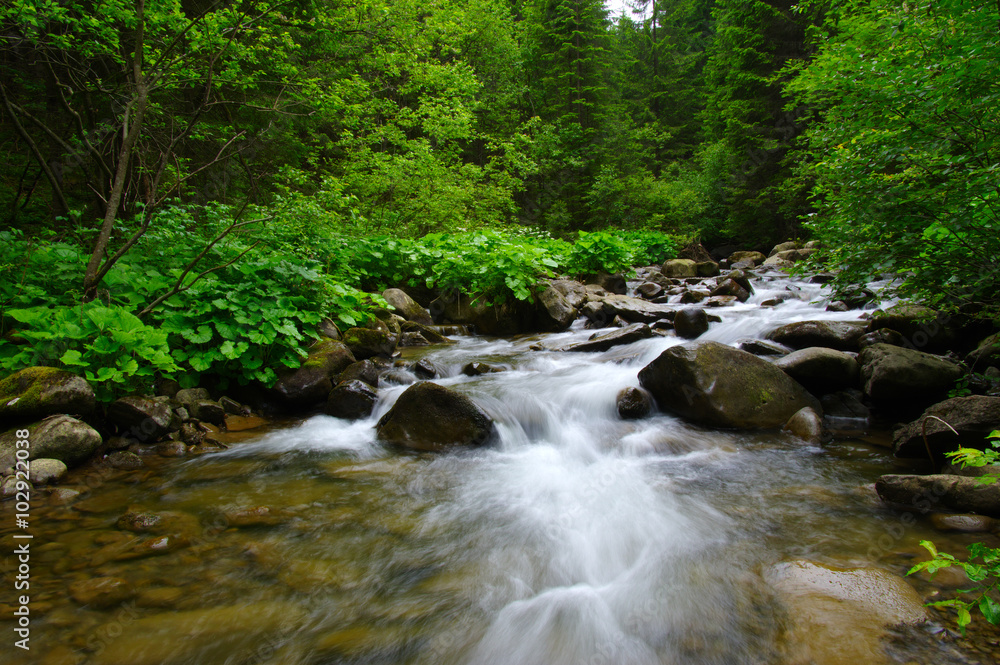 Mountain river