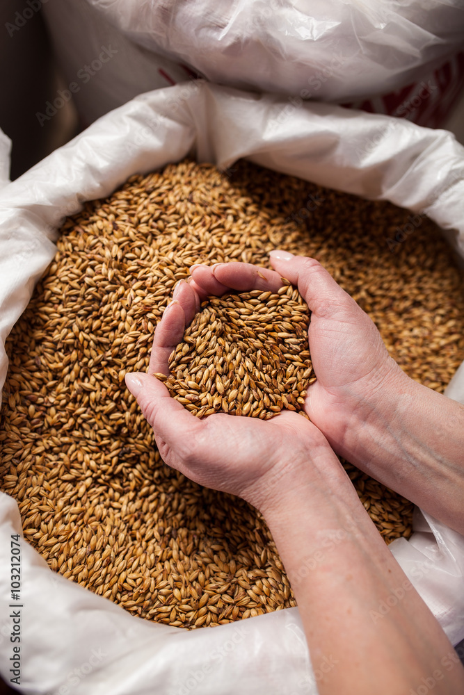 barley in big bags the brewery 