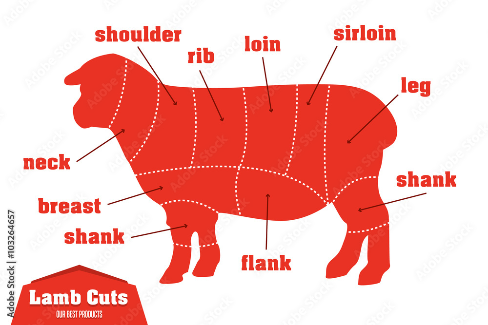 羊肉切块信息图，一组肉部分，矢量