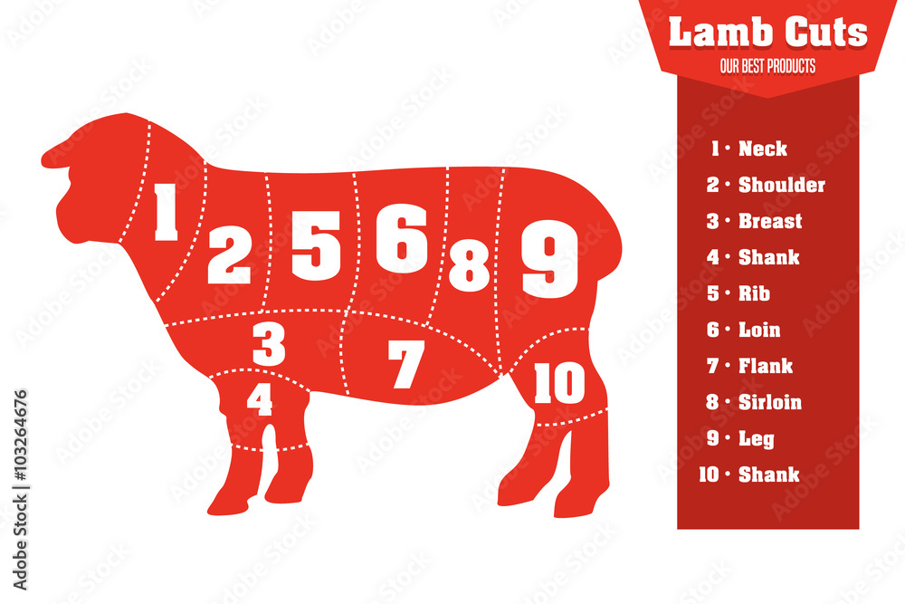 羊肉切块信息图表集，矢量