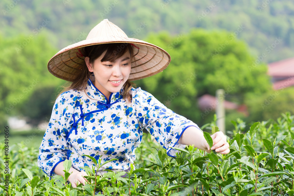 茶园里美丽的亚洲女孩